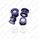 SuperPro REAR SUBFRAME MOUNT BUSH KIT SPF5166K