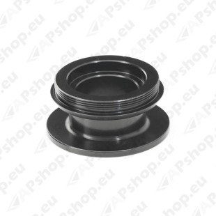 GFB GFB To HKS Adaptor 5350