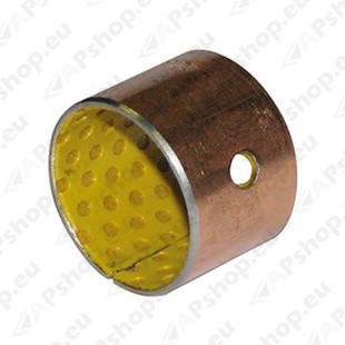 3008206H TAGAL. LIUGPUKS DHOLLANDIA Ø30/34-25MM M1830.25T