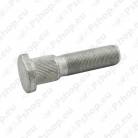 9713579 GIGANT RATTAPOLT 22X1.5X95