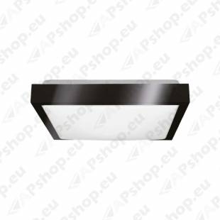 230V LED PLAFOON/VALGUSTI SAMIRA BM 410X410MM (2XE27 PIRNILE. MAX 60W) IP20 KOBI