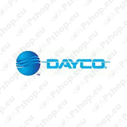 1860734 RIHMARULLIK SCA PGRT DAYCO APV3064