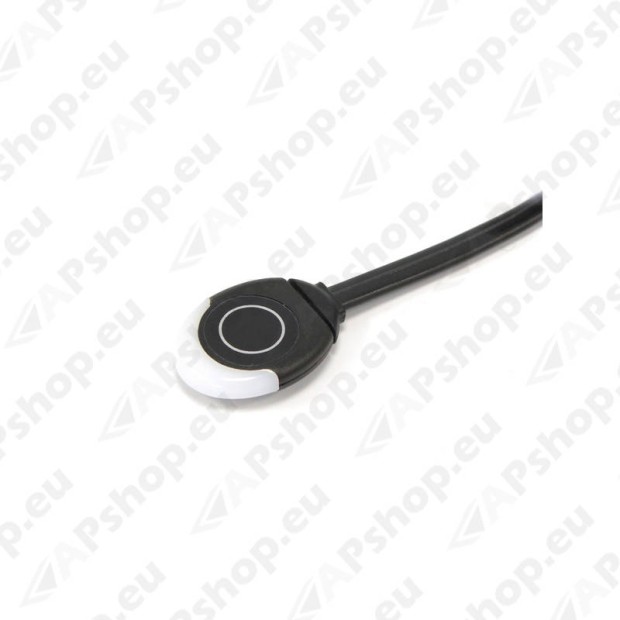 Car Alarms & Security Systems