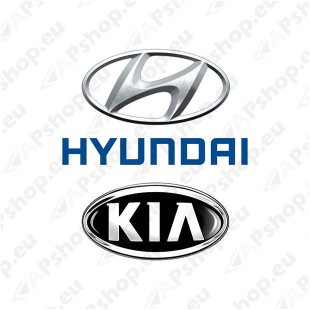 HYUNDAI/KIA