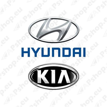 HYUNDAI/KIA