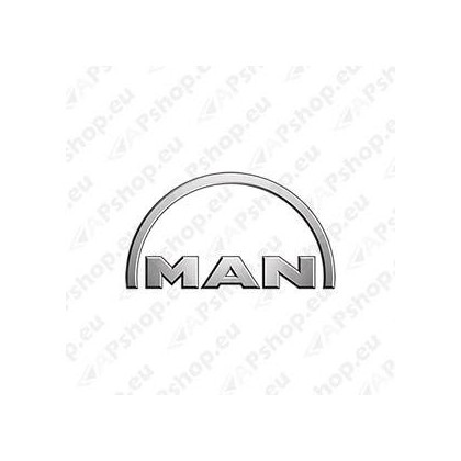 MAN TRUCK
